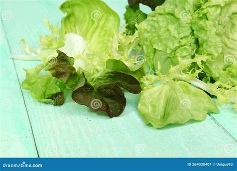 Mix of Different Varieties of Salad Leaves Stock Image - Image of ...