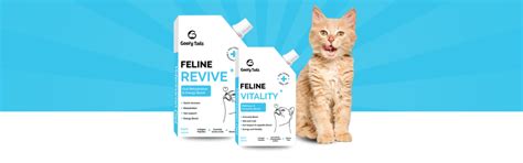 Supplements and Wellness for Cats – GoofyTails