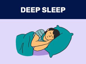 What's Up Wellness Melatonin 5 mg Sleep Gummies | Tart Cherry and ...