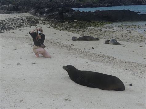Animals and Plants from the Galápagos Islands: Fearless Wildlife