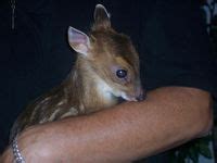 37 ideas de Living in silence en 2024 | de perdidos al rio, realismo ...