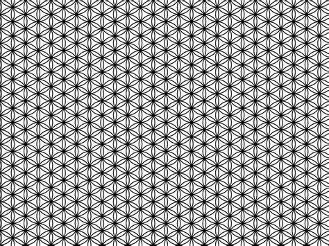 Image result for Flower of Life Pattern