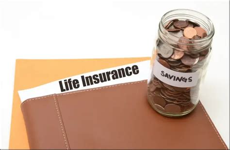 What are the Rider Options with a Life Insurance Plan? | Axis Max Life ...