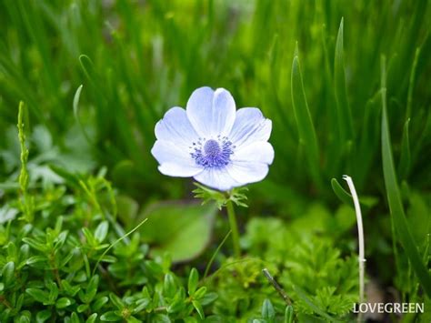 Image result for Authentication Code Letter Sample