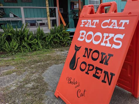 Tomes And Tabbies A Winning Combination For Fat Cat Books | WFSU News