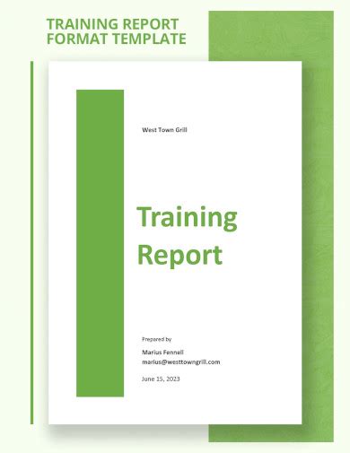 Report Format Example 的图像结果