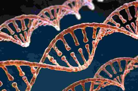 Will eliminating beta-amyloid from the brain prevent Alzheimer’s ...