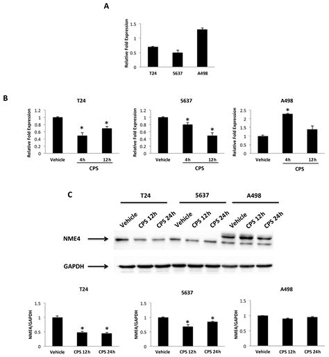 Unveiling the Molecular Mechanisms Driving the Capsaicin-Induced ...