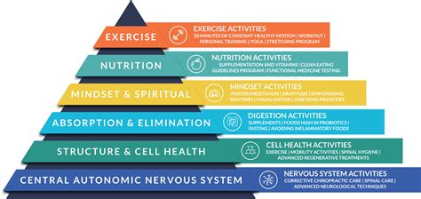Image result for Health Pyramid Explained