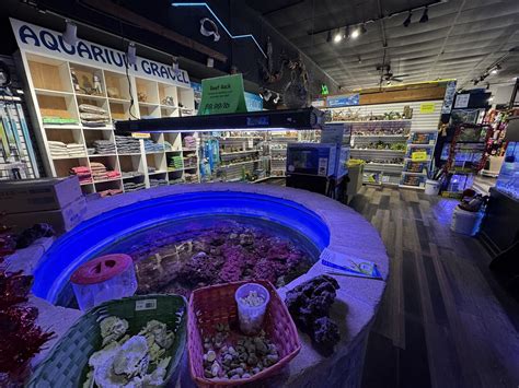 Store of the Month – February 2025 | Zoo Med Laboratories, Inc.