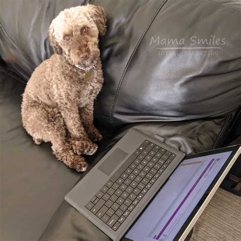 Baby First Programming Part 的图像结果