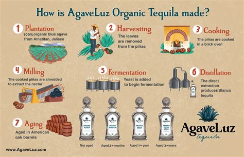 AgaveLuz Organic Tequila| Pure Elegance In Every Sip