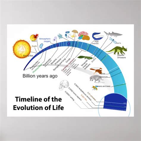 Evolution of Life Chart 的图像结果