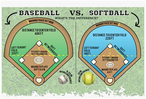 Baseball vs Softball 的图像结果