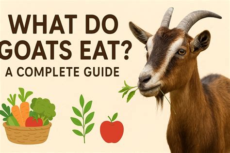 What Do Goats Eat? A Complete Guide for Every Goat Owner
