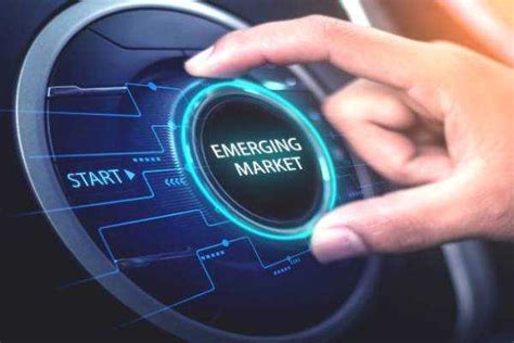 Certified Emerging Markets Business Executive Online Course