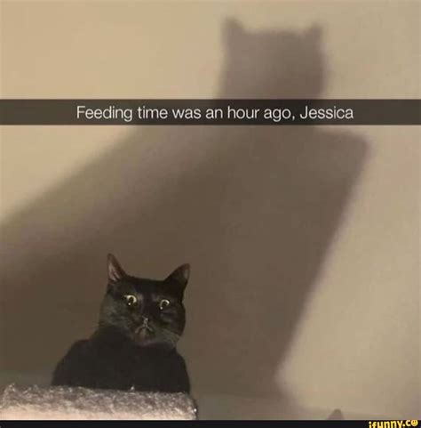 Feeding time was an hour ago, Jessica - iFunny