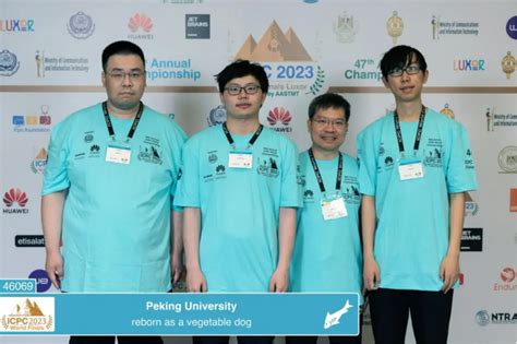 Codeforces Visualizer 的图像结果