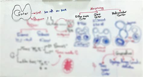 Image result for Crash Course Lymph System