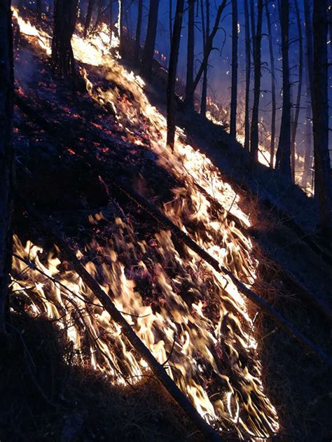 甘孜雅江森林火灾最新情况：目测现有11条火线，近千人上山扑救，已安全转移126人_腾讯新闻