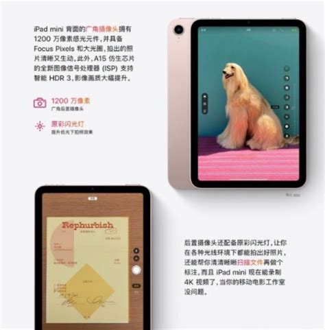 正規品! iPad mini blog2.hix05.com