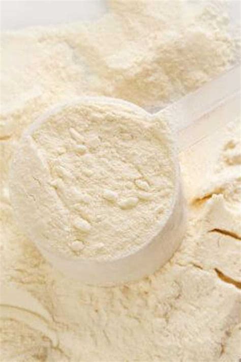 whey protein: Get Latest Buzz, Updates, Gossip, Photos & Videos