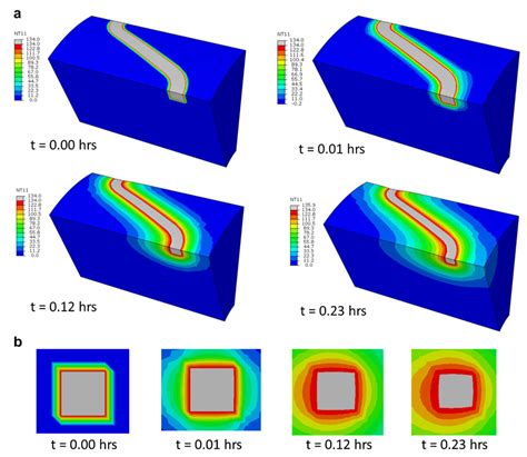 Corrosion Modeling of Magnesium and Its Alloys for Biomedical ...