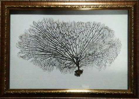 Indrajaal - Energized - Your Gateway to Protection, Prosperity, and Po ...