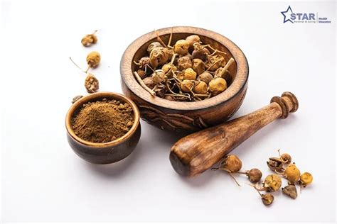 Health Insurance Plans for Family - Best Medical Policy for Family ...