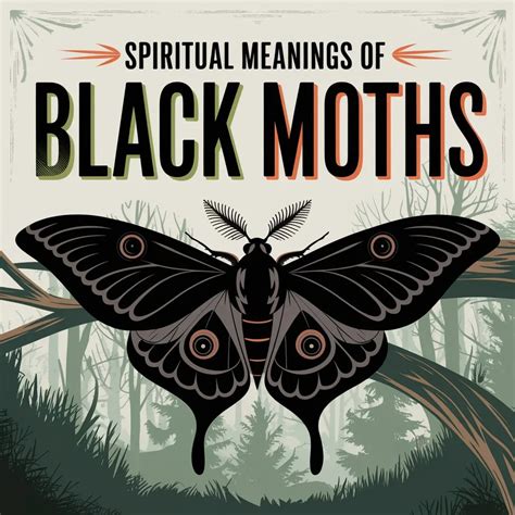 14 Spiritual Meanings Of Black Moths: Spiritual Insights Revealed