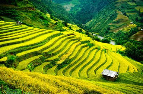 Image result for BCA Java Notes