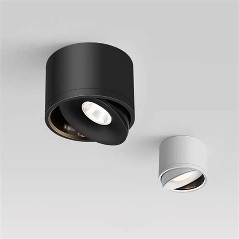 Surface Mounted Dimmable LED Downlight with Rotatable COB Spotlight fo ...
