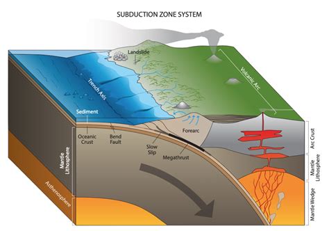 How Are Volcanoes Formed In Subduction Zones at Nettie Cox blog