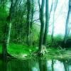 Which of the following measures the radiation given off by atoms per ...