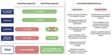Extract2Chip—Bypassing Protein Purification in Drug Discovery Using ...