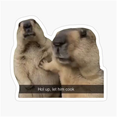 "let him cook meme viral gif funny hol up let him cook meme" Sticker ...