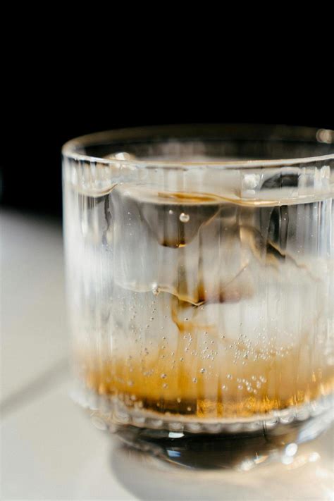 What Gin Is Made From Kelp? [2026]