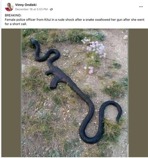 A Female Snake With Gun