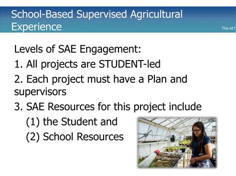 PPT - Guidelines for SAE’s PowerPoint Presentation, free download - ID ...