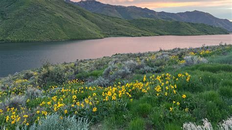 Wildflower season is coming. View the colors responsibly