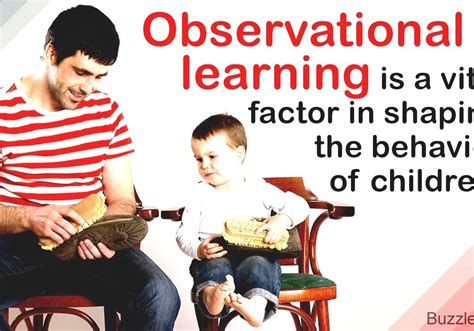 Image result for Observational Learning