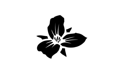 Trillium Brewing - Canton - Pub Trivia Night
