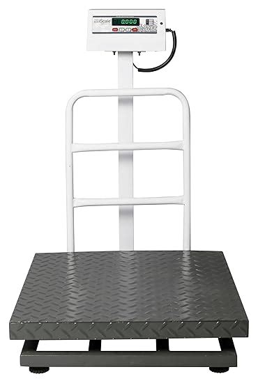 iScale ISP-300M Electronic Platform Weighing Scale 600x600mm Mild Steel ...