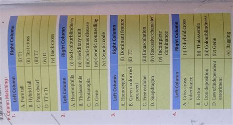 ck gh Column Matching : 1. Left Column A. Pure tall B. Hybrid tall er ...