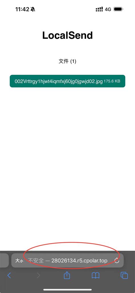 Local Copy vs Download 的图像结果