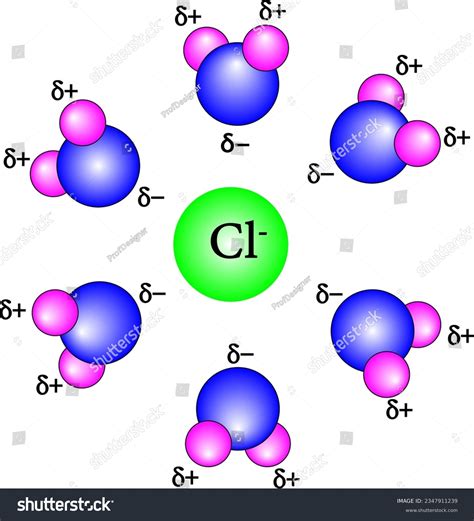 Chloride Ion
