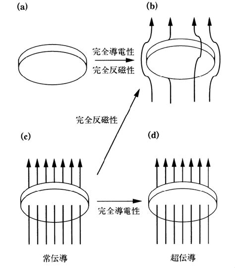 Introduction to Python Coding に対する画像結果