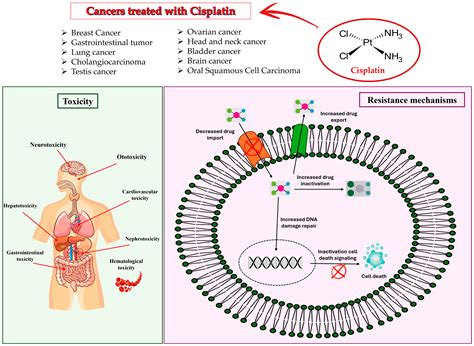 Cisplatin, the Timeless Molecule