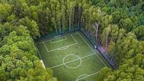 Fact Check: Stunning image of football field encircled by forests is ...