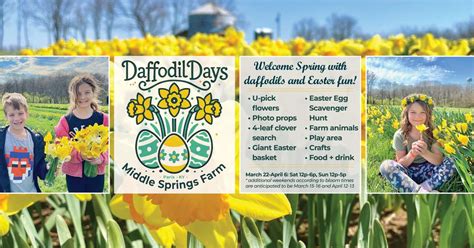Daffodil Days 2025, 163 Levy Road, Paris, KY, United States, Kentucky ...